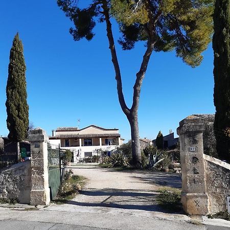 Gites du Mas Gibert à SAUSSINES entre Nimes et Montpellier Esterno foto